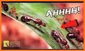 Ant Colony related image