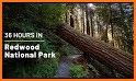 Redwood National Park related image