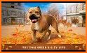 Pitbull Dog Simulator Fighting 3D related image