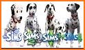 Runaway stray Dog Simulator : Dog Life Simulation related image