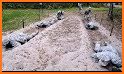 US Army Training School - Military Obstacle Course related image