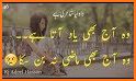 Easy Urdu SMS related image