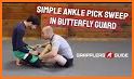 Non-Stop BJJ Butterfly Guard related image