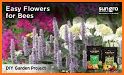 Grow Flowers & Bees related image