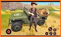 Jungle Hunter - Animal Hunting Shooting Games related image