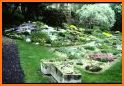 Rock Garden Ideas related image