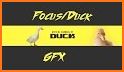 Focus Duck related image