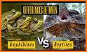 iRept - It's for Reptile & Amphibian hobbyists! related image