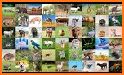 Montessori Vocabulary - Baby Animal Names related image