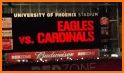 Cardinals Light Show related image