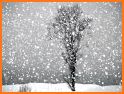 Snowfalling Live Wallpaper related image