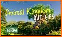 Disney's Animal Kingdom Live - Waiting times related image