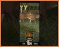 Big Hunter Buck Cash Guide related image