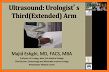 Urological Ultrasound related image