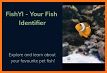 FishYI - Your Fish Identifier related image