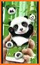 Cute Baby Panda Keyboard Theme related image