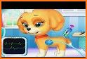 Pet Care: Dog Games related image