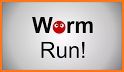 Worm Run! related image