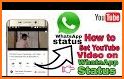 Full Video Status & Downloader For Whatsapp related image