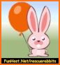 Rabbit Rescue - Bubble Shooter related image