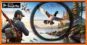 Wild Bird Ostrich Hunting 3D related image