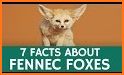 Fennec Fox Defense related image