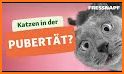 Pubertat related image