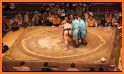 Sumo Crash related image