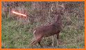 Wild Deer Shooting Animal Hunting Adventure 2020 related image