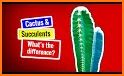 Cactus and Succulent Plants related image