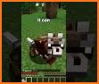 Cute Armadillo Mobs for MCPE related image