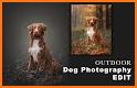 Animal Photo Frame - Animal Photo Editor related image