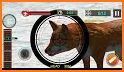 Wild Wolf Hunting Adventure: Animal Shooting Game related image