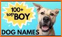 Dogname - find it together related image