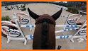 Mega Ramps : Horse Showjumping related image