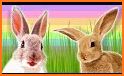 Easter Spring Animals - ReS11 related image