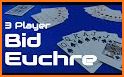 Euchre Mania! - Card game related image