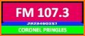 107.3 FM Radio Online related image