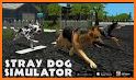 Labrador Simulator related image