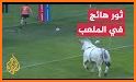 SPORT TV بث مباشر للمباريات related image