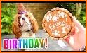 Puppy's Birthday Party related image