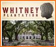 Whitney Plantation related image