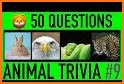 Animal Trivia Quiz related image