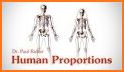 Body Proportions related image