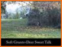 Deer Hunting Calls Soundboard related image