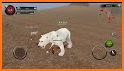 Bear Simulator - Animal Simulator related image