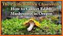 Oregon SW Mushroom Forager Map related image