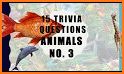 Animal Trivia Quiz related image