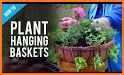 Florest: Hanging Gardens related image