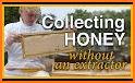 Beekeeping related image